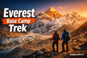 Everest Base Camp - 01 May 2026