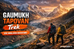 Gaumukh Tapovan Trek - 01 May 2026