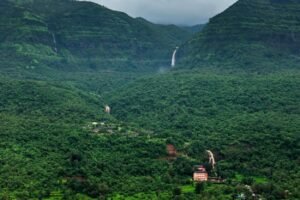 Adrai Jungle Trek